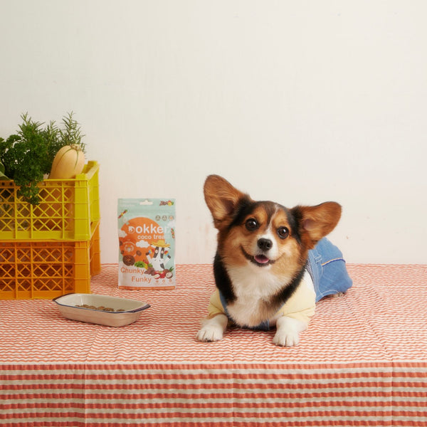 Dokker Coco Chunky Funky Beef Liver Treats for Dogs & Cats