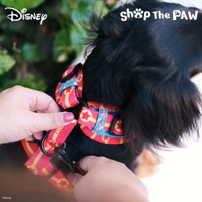 Disney Adjustable Harness | Dumbo - Pet Collars & Harnesses - Disney/Pixar - Shop The Paw