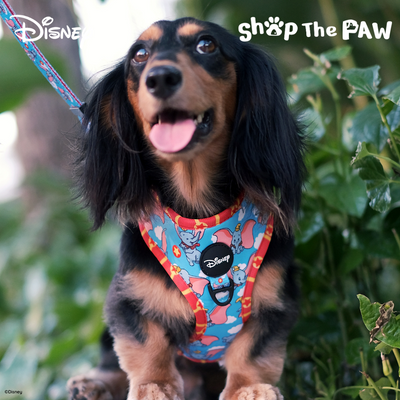 Disney Adjustable Harness | Dumbo - Pet Collars & Harnesses - Disney/Pixar - Shop The Paw