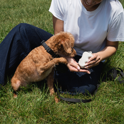 Springer Pet Silicone Dog Treat Dispenser