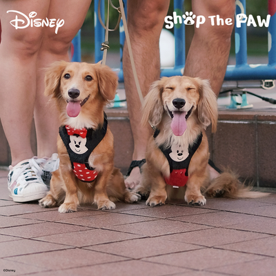 Disney Adjustable Harness | Furry Mickey Mouse - Pet Collars & Harnesses - Disney/Pixar - Shop The Paw