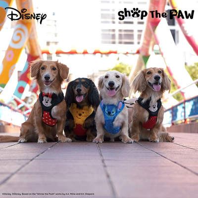 Disney Adjustable Harness | Furry Winnie The Pooh - Pet Collars & Harnesses - Disney/Pixar - Shop The Paw