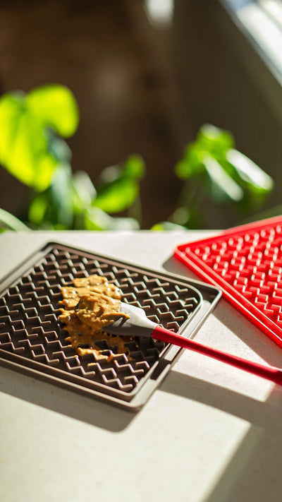 Messy Mutts Silicone Therapeutic Dog Lick Mat with Silicone Spatula (Assorted) - Pet Bowls, Feeders & Waterers - Messy Mutts - Shop The Paw