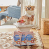 Dokker Coco Birthday Cake Vegan Treats for Dogs & Cats