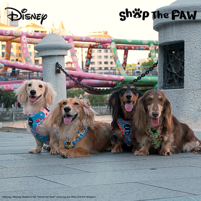 Disney Adjustable Harness | Winnie The Pooh - Pet Collars & Harnesses - Disney/Pixar - Shop The Paw