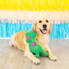 Fringe Studio Thorny But Cute Rex Dog Toy - Toys - Fringe Studio - Shop The Paw