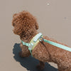 Pups & Bubs Roam Multi-way Waterproof Leash LITE