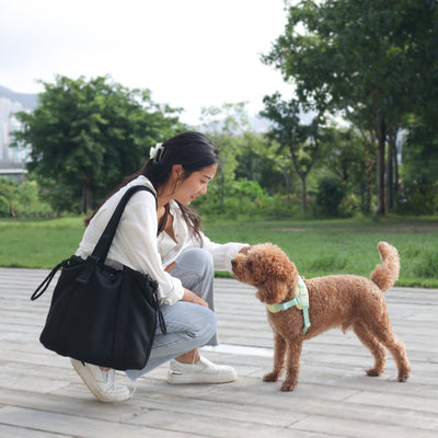 Pups & Bubs All Day Chill Bag (Rose)