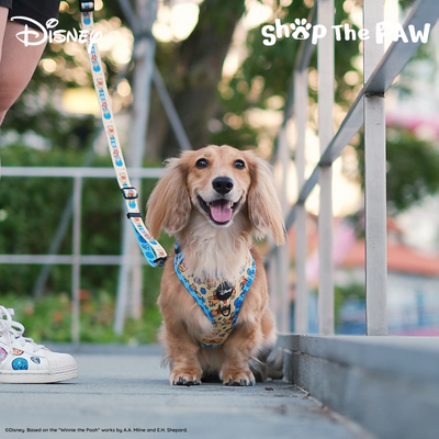 Disney Adjustable Harness | Winnie The Pooh - Pet Collars & Harnesses - Disney/Pixar - Shop The Paw