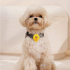 Line Friends Sally LED tags for dogs & cats