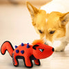 GiGwi Duraspikes - Coon - Dog Toys - GiGwi - Shop The Paw