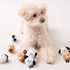 Bite Me Dog Balls Sets (2pcs) Dog Toys