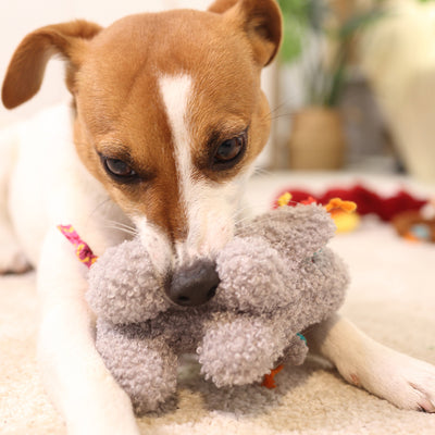 GiGwi Plush Friendz with Squeaker & Crinkle Paper - Elephant - Dog Toys - GiGwi - Shop The Paw