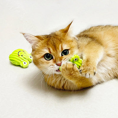 GiGwi Meow Than 1 Cat Toy - Frog with Legume - cat toys - GiGwi - Shop The Paw