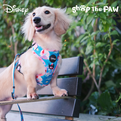 Disney Adjustable Harness | Ariel The Little Mermaid - Pet Collars & Harnesses - Disney/Pixar - Shop The Paw