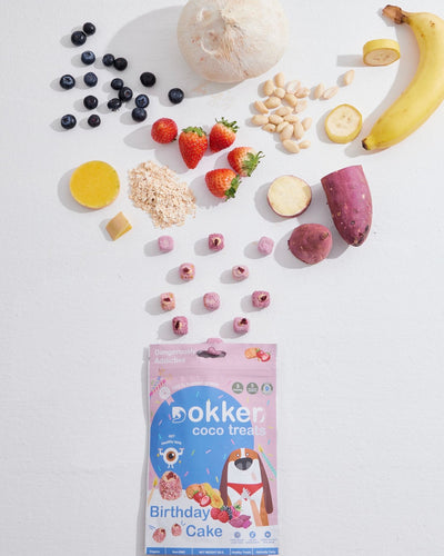 [SHORT EXP] Dokker Coco Birthday Cake Vegan Treats for Dogs & Cats