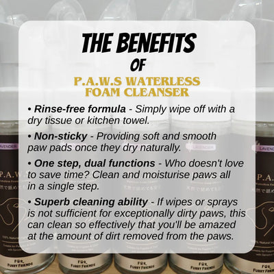 For Furry Friends P.A.W.S Waterless Foam Cleanser [For Dogs Only]