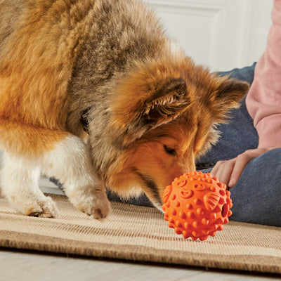 Brightkins Pufferfish Treat Dispenser - Small -- Brightkins Pet - Shop The Paw