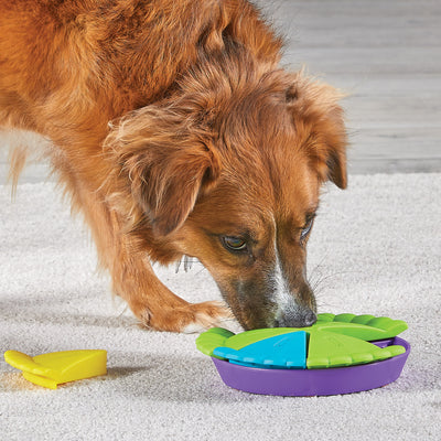 Brightkins Slice O Pie Treat Puzzle -- Brightkins Pet - Shop The Paw