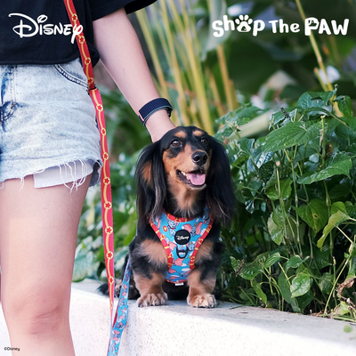 Disney Adjustable Harness | Dumbo - Pet Collars & Harnesses - Disney/Pixar - Shop The Paw