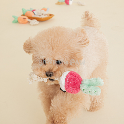 Bite Me Root Vegetable Rope Plush Dog Toy