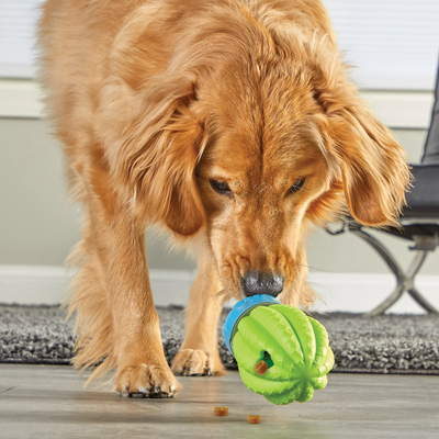 Brightkins Cactus Surprise! Treat Dispenser -- Brightkins Pet - Shop The Paw