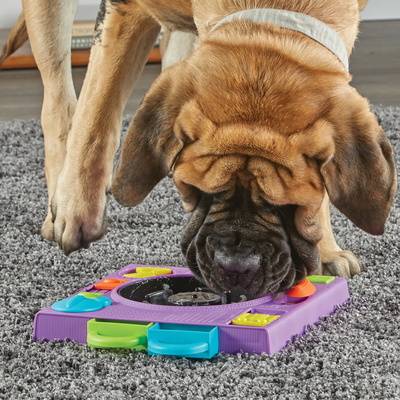 Brightkins DJ Doggo Puzzle Feeder -- Brightkins Pet - Shop The Paw