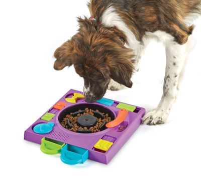 Brightkins DJ Doggo Puzzle Feeder -- Brightkins Pet - Shop The Paw