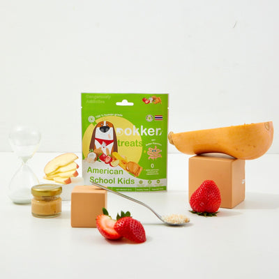 [SHORT EXP] Dokker American School Kids Peanut Butter Vegan Treats for Dogs & Cats