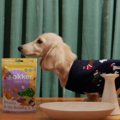 [SHORT EXP] Dokker Coco Beauty and Beast Crocodile Treats for Dogs & Cats