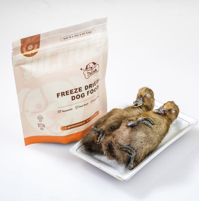 Nutriale Freeze Dried Baby Duck with Feathers Dog Treats