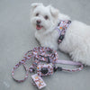 Disney Pixar Multi-way Adjustable Leash | Toy Story Slinky Dog