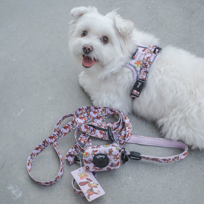 Disney Pixar Multi-way Adjustable Leash | Toy Story Slinky Dog