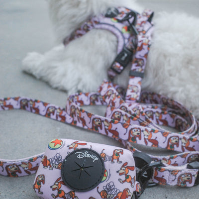 Disney Pixar Multi-way Adjustable Leash | Toy Story Slinky Dog