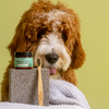 Black Sheep Organics Peppermint Toothpaste for Dogs (Natural, Organic and Vegan)