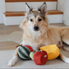 Lambwolf Fruit Series Pet Toys