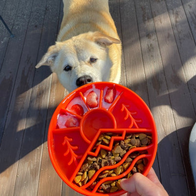 Sodapup - eBowl Enrichment Slow Feeder Bowl for Dogs - Forest - Toys - Sodapup - Shop The Paw