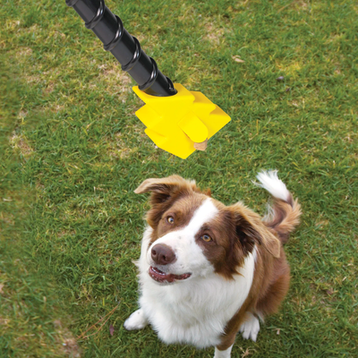 Brightkins Magic Wand! Treat Dispensers - Bolt -- Brightkins Pet - Shop The Paw