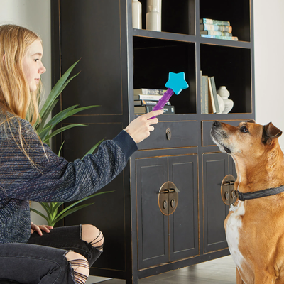 Brightkins Magic Wand! Treat Dispensers - Star -- Brightkins Pet - Shop The Paw