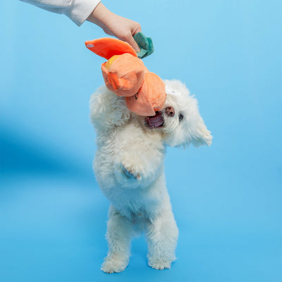 the furryfolks Orange Nosework Toy