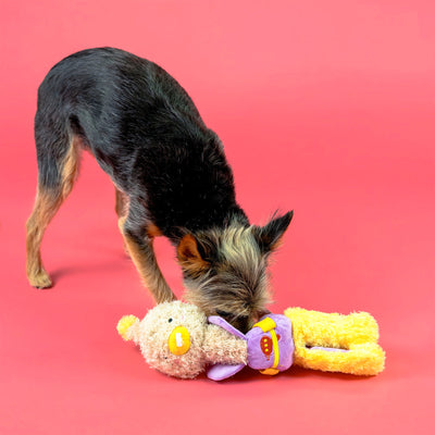 the furryfolks Ostrikakan Nosework Toy