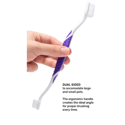 Petsmile Professional Pet Toothbrush - Patented 45° Dual-Ended Brush Head