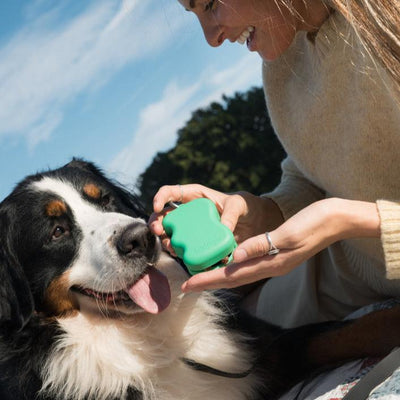 Springer Pet Silicone Dog Treat Dispenser