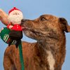 the furryfolks Santa Paws Nosework Toy