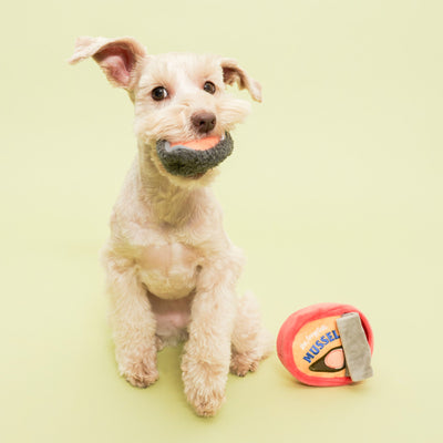 the furryfolks Tinned Mussel Nosework Toy