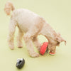 the furryfolks Tinned Mussel Nosework Toy