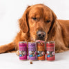 Polkadog Turkey & Cranberry - Wonder Nuggets Mini Tube Dog Treats