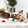 Fringe Studio Christmas Light Up My Life 3 Piece Mini Dog Toy