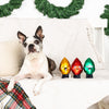 Fringe Studio Christmas Light Up My Life 3 Piece Mini Dog Toy