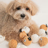 Bite Me Bada & Shiro Spiky Ball Dog Toy - Dog Toys - BiteMe - Shop The Paw